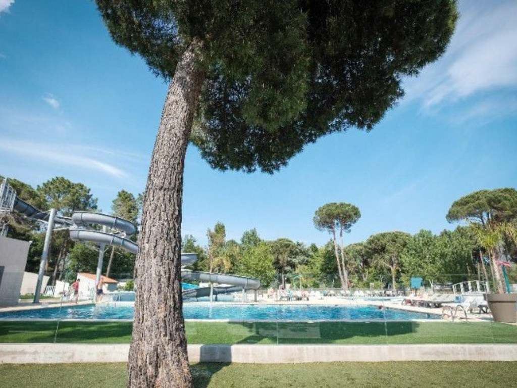 Camping de Taxo les Pins