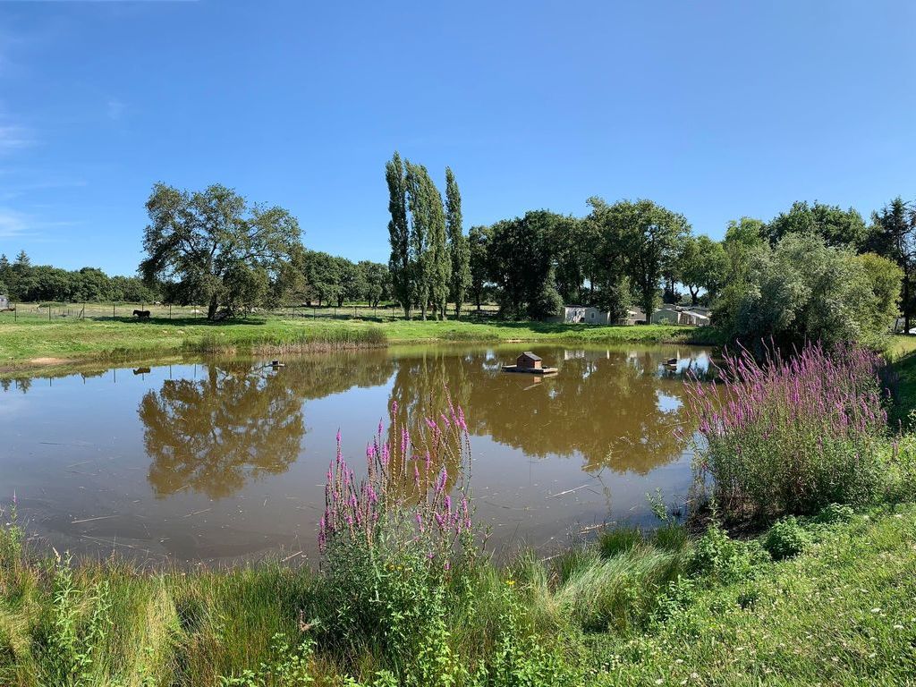 Camping L'tang du Pays Blanc
